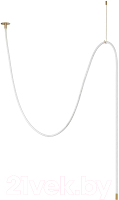 Потолочный светильник Odeon Light Corda 4399/40CL - фото