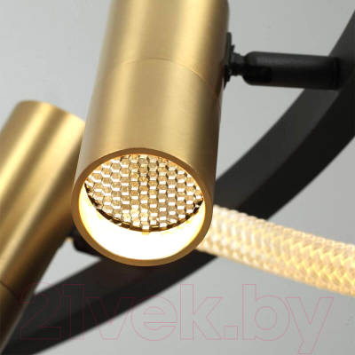 Потолочный светильник Odeon Light Corda 4399/40CL