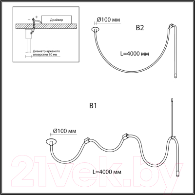 Потолочный светильник Odeon Light Corda 4399/40CL