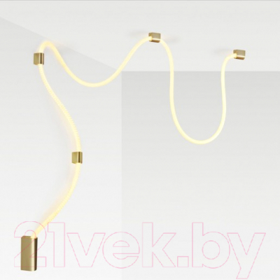 Потолочный светильник Odeon Light Corda 4397/30CL