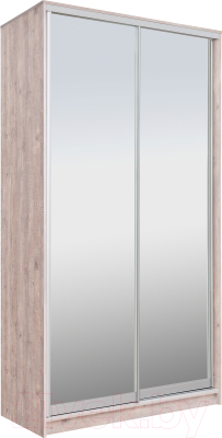 Шкаф-купе Рэйгрупп 138 SSX Elgon РГ-05.04 - фото