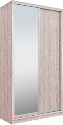 Шкаф-купе Рэйгрупп 120 SSX Elgon РГ-06.02 - фото