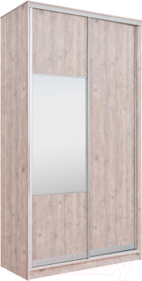 Шкаф-купе Рэйгрупп 120 SSX Elgon РГ-06.05 - фото