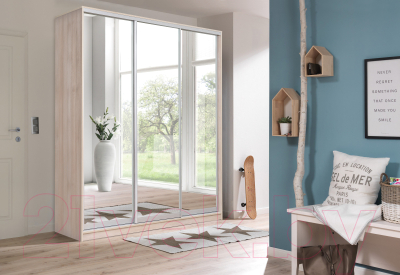 Шкаф-купе Рэйгрупп 233 TTX Elgon РГ-07.04