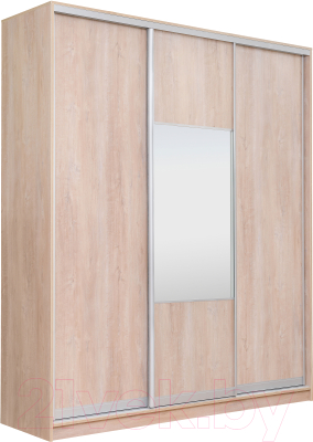 Шкаф-купе Рэйгрупп 233 TTX Elgon РГ-07.05 - фото