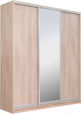 Шкаф-купе Рэйгрупп 203 TTX Elgon РГ-08.02 - фото