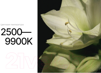 Осветитель студийный RayLab RL-LED10R