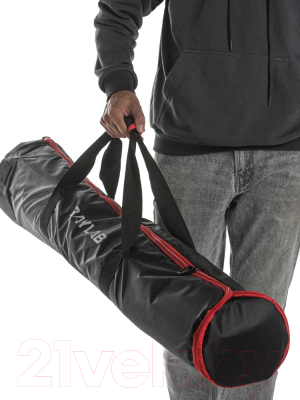 Сумка для студийного оборудования RayLab RL-BG120