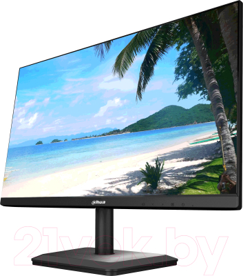 Монитор Dahua DHI-LM24-F200