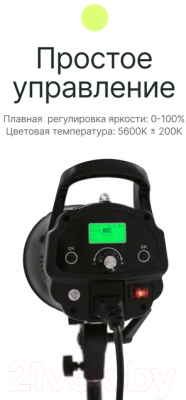 Комплект осветителей студийных RayLab RL-100 Kit