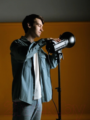 Комплект осветителей студийных RayLab RL-100 Kit