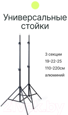 Комплект осветителей студийных RayLab RL-100 Kit