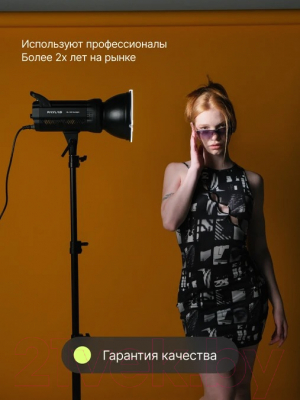 Комплект осветителей студийных RayLab RL-100 Kit