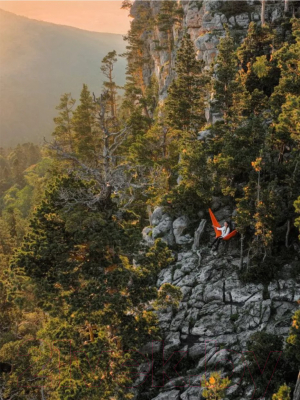 Гамак RoadLike 335117