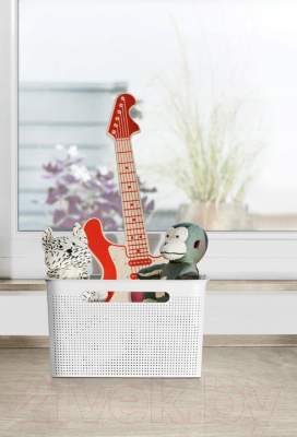 Корзина Rotho Brisen / 1023901100