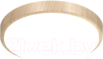 Потолочный светильник Sonex Losta 7607/EL - фото