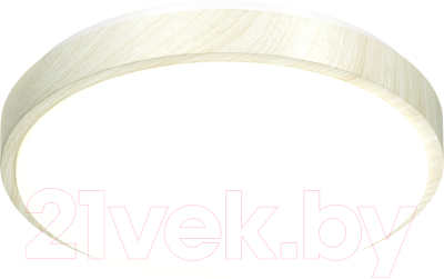 Потолочный светильник Sonex Losta 7628/EL - фото