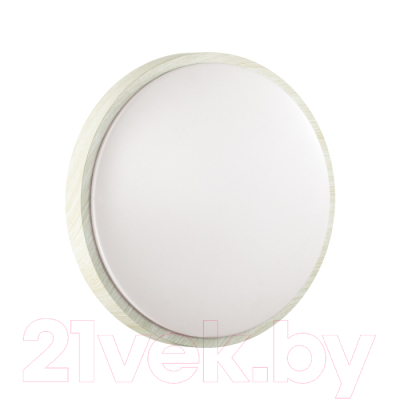 Потолочный светильник Sonex Losta 7628/CL