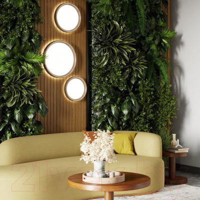 Светильник Sonex Woodi 7603/CL