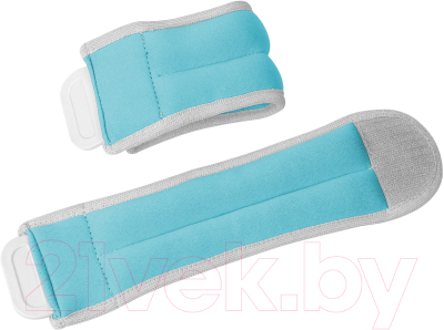 Комплект утяжелителей Indigo Идеал 2x0.2кг / SM-408 - фото