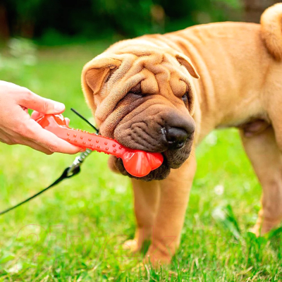 Игрушка для собак Ferplast PA6484 M / 86484799