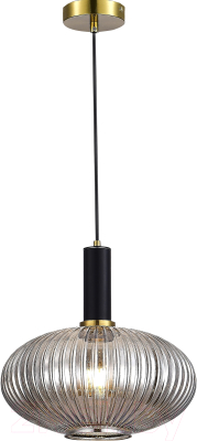 Потолочный светильник Moderli Boise / V10504-1P - фото