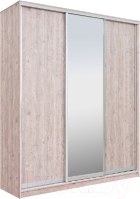 Шкаф-купе Рэйгрупп 203 SSX Elgon РГ-02.02 - фото