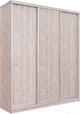 Шкаф-купе Рэйгрупп 203 SSX Elgon РГ-02.03 - фото