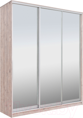 Шкаф-купе Рэйгрупп 203 SSX Elgon РГ-02.04 - фото