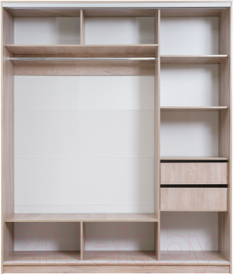 Шкаф-купе Рэйгрупп 203 SSX Elgon РГ-02.05