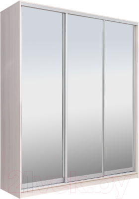 Шкаф Рэйгрупп 176 YYX Elgon РГ-03.04 - фото