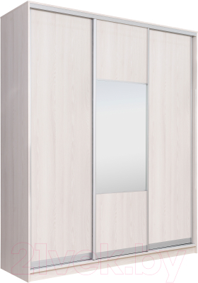 Шкаф Рэйгрупп 176 YYX Elgon РГ-03.05 - фото