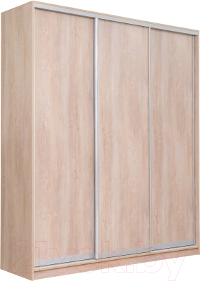 Шкаф-купе Рэйгрупп 233 TTX Elgon РГ-01.03 - фото