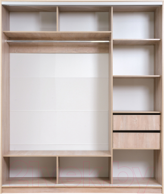 Шкаф-купе Рэйгрупп 203 TTX Elgon РГ-02.05