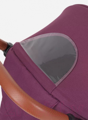 Детская прогулочная коляска Rant Vega 2023 / RA057 (фиолетовый)