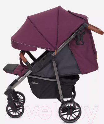 Детская прогулочная коляска Rant Vega 2023 / RA057 (фиолетовый)