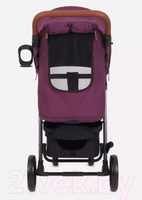 Детская прогулочная коляска Rant Vega 2023 / RA057 (фиолетовый)