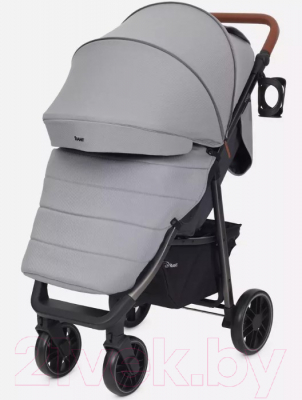 Детская прогулочная коляска Rant Vega 2023 / RA057 (серый)