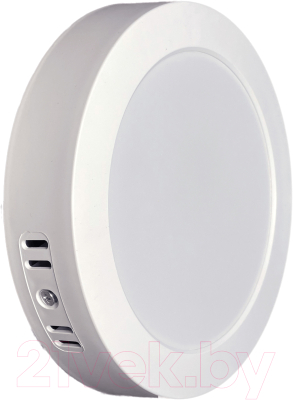 Потолочный светильник Truenergy 9W 4000K 10104 - фото