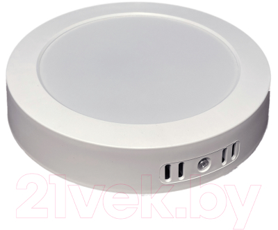 Потолочный светильник Truenergy 20W 4000K 10106