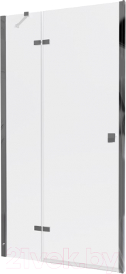 Душевая дверь Triton Бруно 99x190 - фото