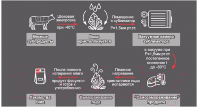 Лакомство для собак Blitz Pets Почки говяжьи / 4010