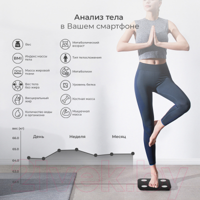 Напольные весы электронные Evolution Smart Scale BTF2