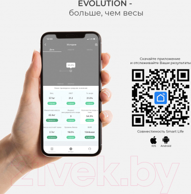 Напольные весы электронные Evolution Smart Scale BTF2