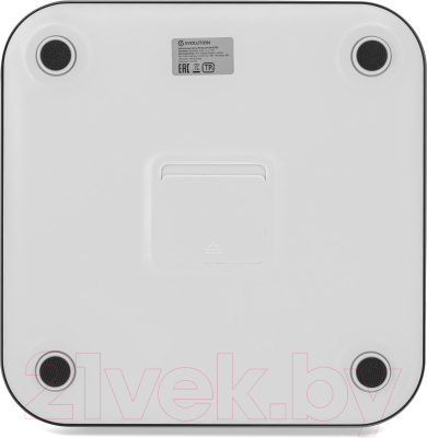 Напольные весы электронные Evolution Smart Scale BTF3