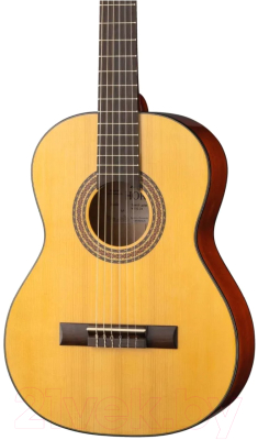 Акустическая гитара Hora N1010-3/4