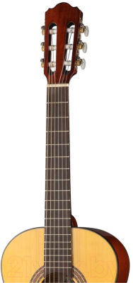 Акустическая гитара Hora N1010-3/4