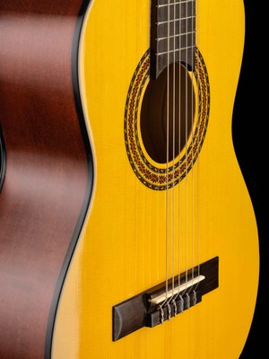 Акустическая гитара Hora N1010-1/2