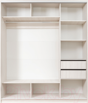 Шкаф Рэйгрупп 233 YYX Elgon РГ-07.01