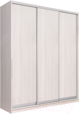 Шкаф Рэйгрупп 233 YYX Elgon РГ-07.03 - фото